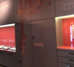 Museum Reichenau Mittelzell