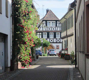 Altstadt Bad Bergzabern