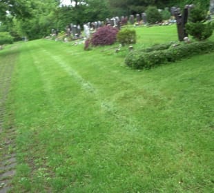 Neuer Friedhof am Schorren