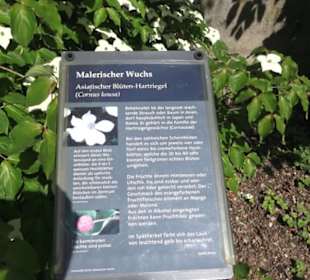 Botanischer Garten der Universität Zürich