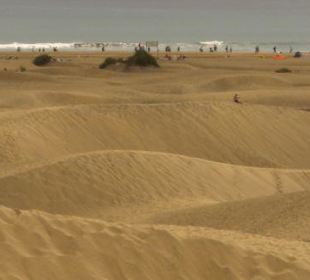 die Dünen von Maspalomas