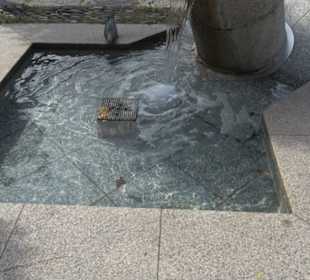 Brunnen Dorfplatz Am Anger