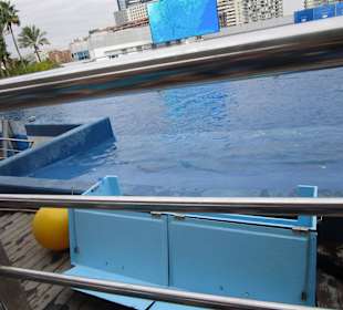 Aquarium / Oceanongrafic