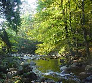 Wildromatisches Elendstal