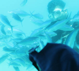 На подводной лодке