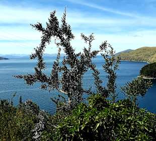 Wanderung Isla del Sol