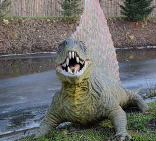 Park jurajski w Bałtowie