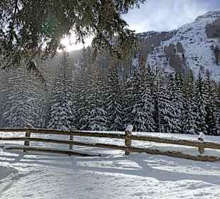 Wandern Rein in Taufers