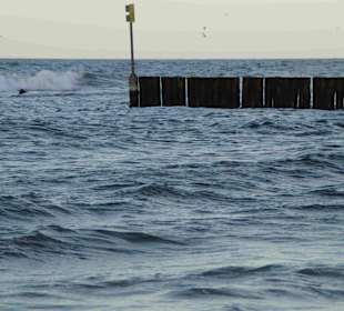 Strand Kolberg/Kolobrzeg