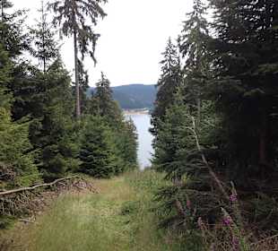 Wandern Neuhaus am Rennweg