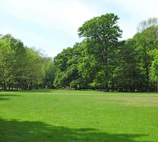 Spaziergang durch den Tiergarten Hannover