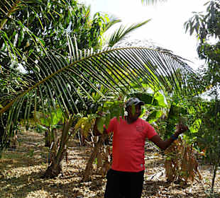 Willy erklärt verschiedene Pflanzen