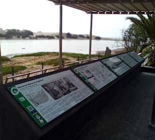 Naturschutzgebiet La Charca in Maspalomas