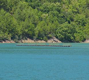 Green Canyon, Hier kann man Schwimpausen machen!