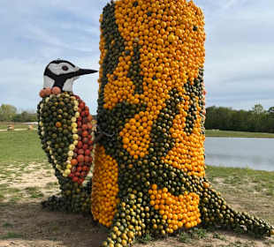 Krewelshof  Kürbisschau 2022 (Wundersame Waldwesen
