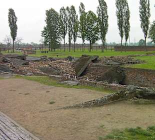 Auschwitz