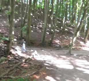 Nationalpark Jasmund