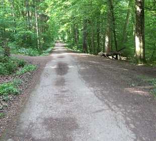 Breitenbachquelle