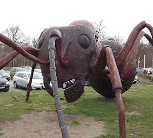 Riesen-Ameise vor der Farm