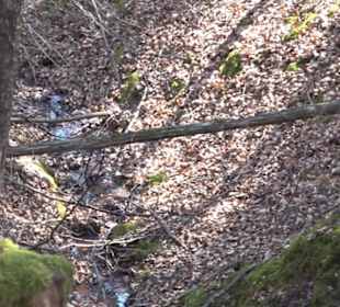 Geologischer Lehrpfad Kirnbachtal