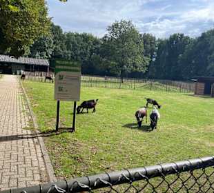 Steinerbos Belevenispark