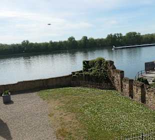 Bei der Kurfürstlichen Burg von Eltville