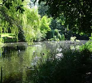 Impressionen aus dem Schlossgarten