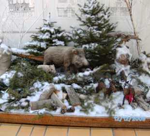 Seebrücke Heringsdorf Passage