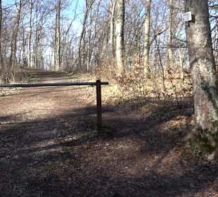 Bolberghütte Willmandingen