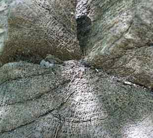 Klettergebiet Mazet-Plage