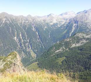 Natur