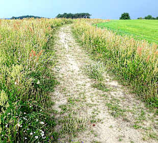 Wanderung Loddiner Höft