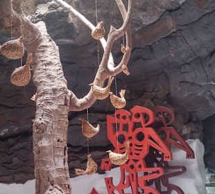 Das Licht kommt stets von oben