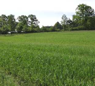 Hohenloher Freilandmuseum