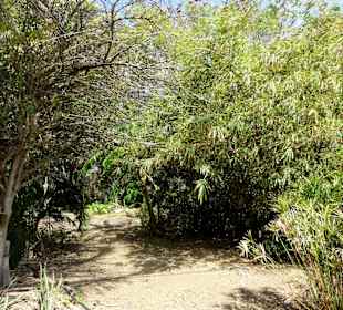 Rundgang durch die Idylle von Mimi´s Eco Farm