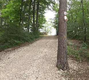 Hochgeträumt Premiumwanderung
