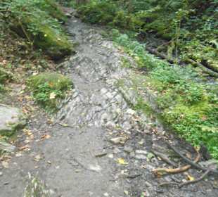 Schmaler Pfad in der Klamm