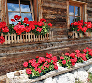 Wandern St. Martin im Lammertal