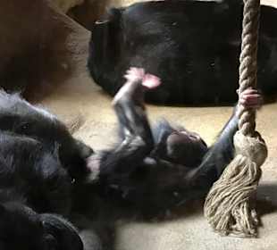 Zoo Grömitz 