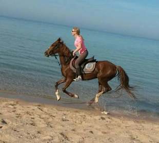 Nur Fliegen ist schöner