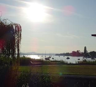Gnadensee
