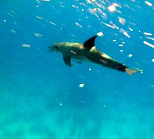 Schaut Euch einfach das Foto an 