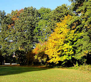 Herbstspaziergang durch den Schlosspark