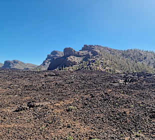 Teide-Nationalpark 