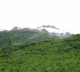 Mit der Train in der Natur Alaskas