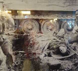 Bilder die aufrütteln und betroffen machen