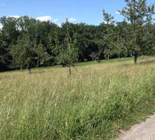 Eduard Lucas Musterobstgarten Mähringen