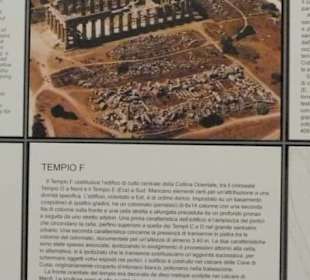 Tempel F Selinunt