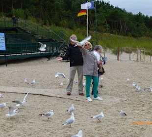 Am Strand von Miedzywodzie