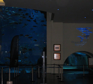 Aqarium in der Mall